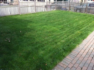 After mowing Left