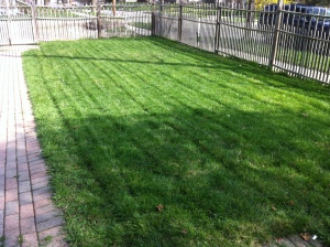 After mowing Right